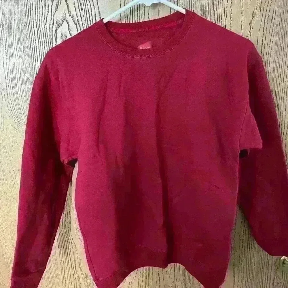 NWOT 3 Hanes Kid Sweatshirts